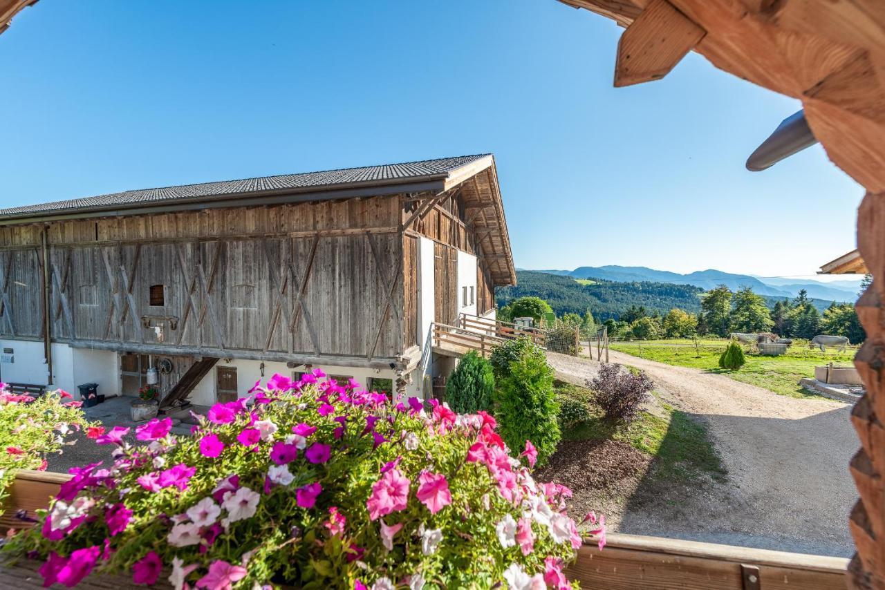 Plattner-Hof Apartment Petersberg ภายนอก รูปภาพ