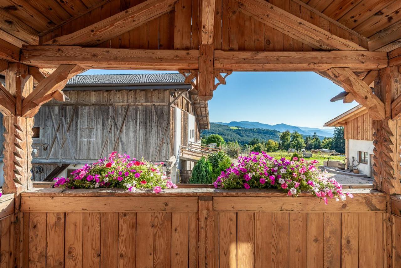 Plattner-Hof Apartment Petersberg ภายนอก รูปภาพ